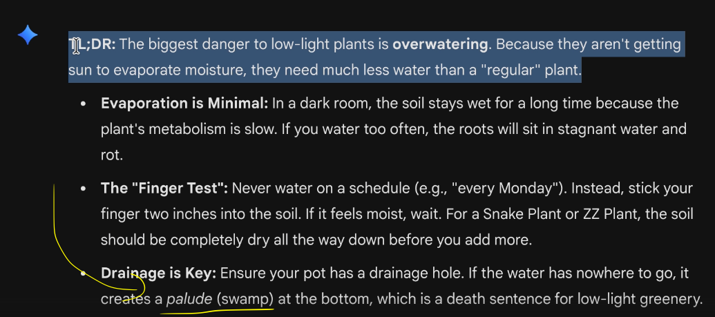 Gemini answer with language words